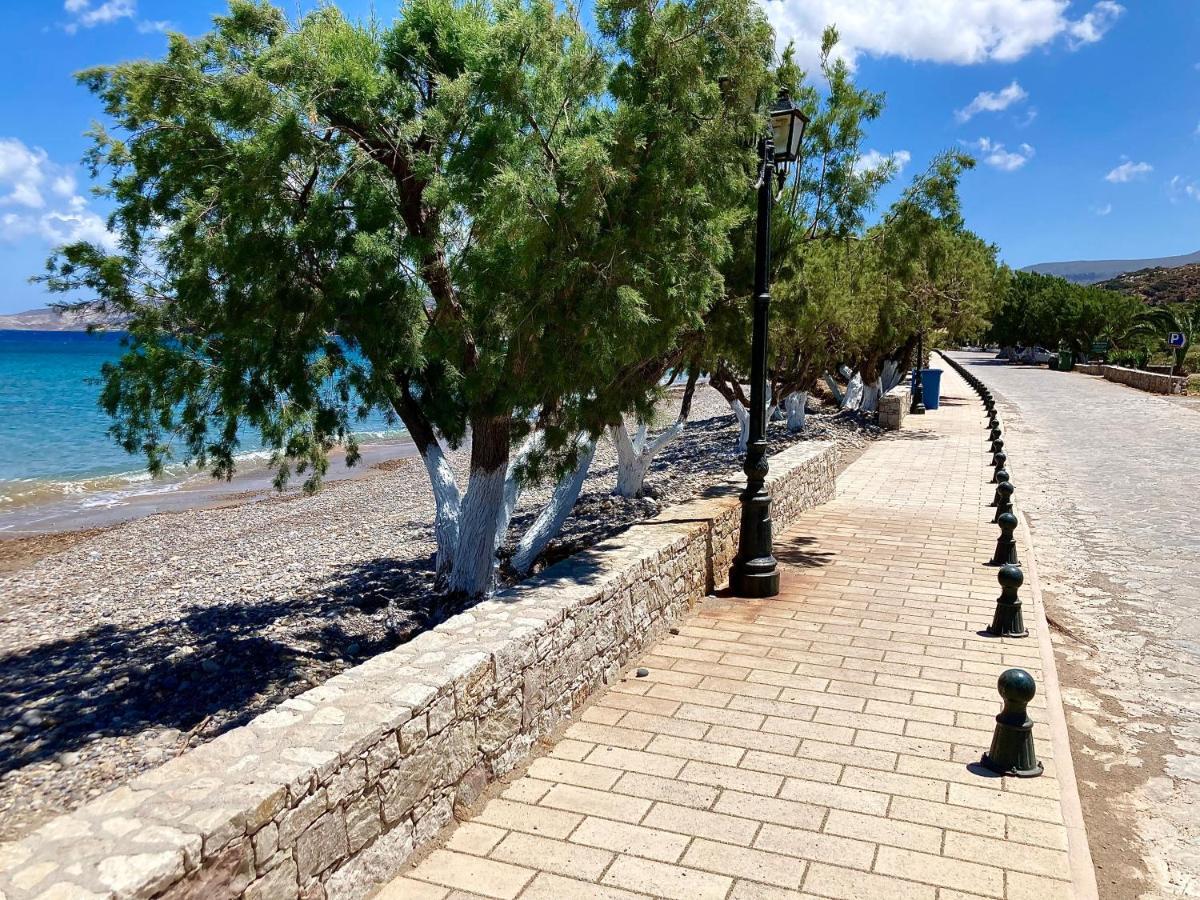 Kouremenos Beach Apartments Palekastro Ngoại thất bức ảnh