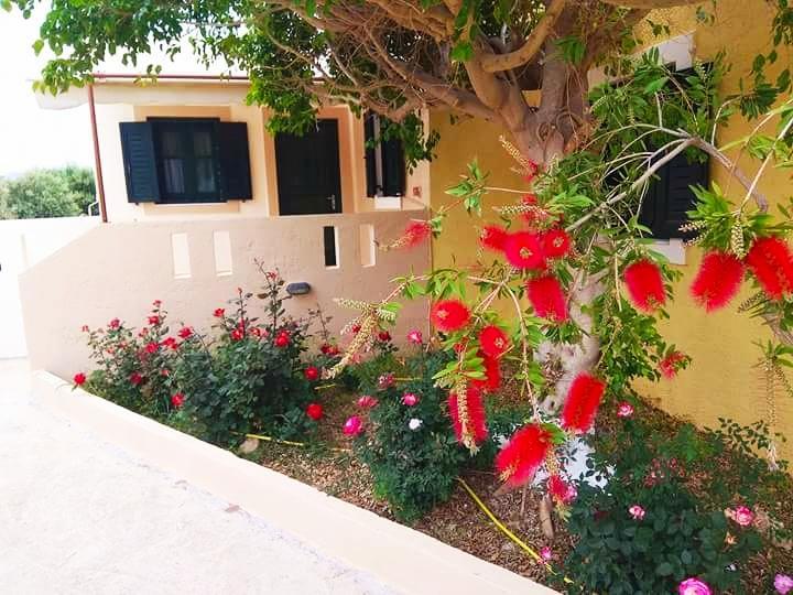 Kouremenos Beach Apartments Palekastro Ngoại thất bức ảnh